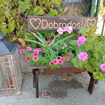 Mendula Apartman Pakoštane Kültér fotó